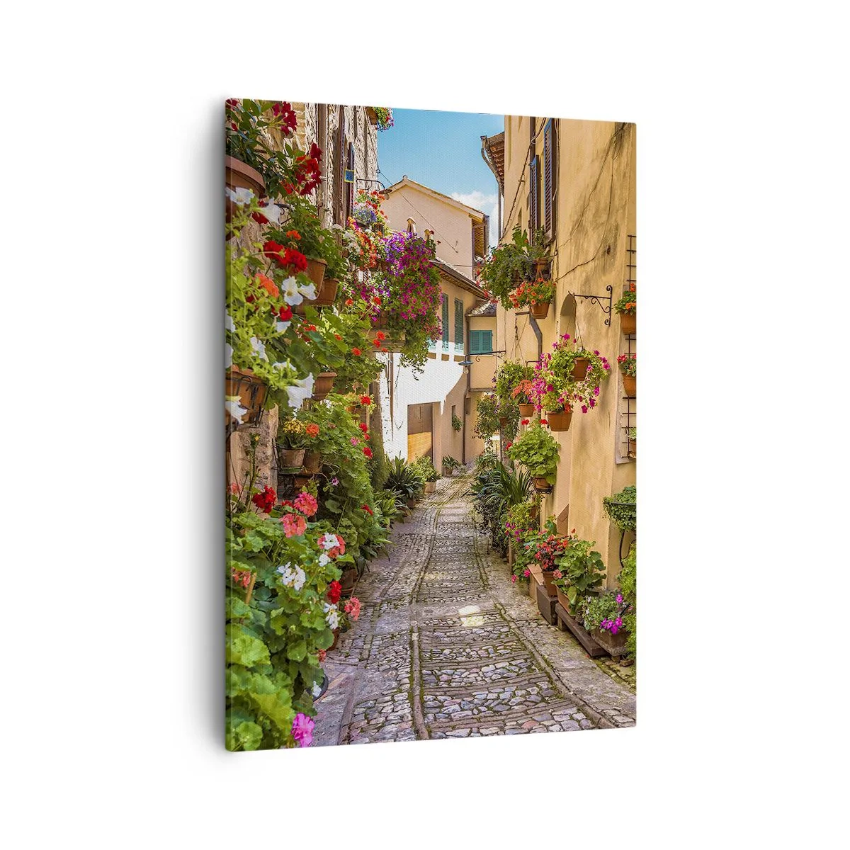 Schilderen op canvas - Italiaans zijstraatje - 50x70 cm