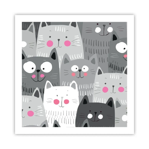 Poster - De wereld van de kat - 60x60 cm