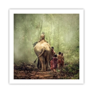Poster - Nieuw Jungle Boek - 60x60 cm