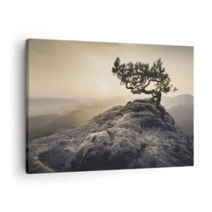Schilderen op canvas - Een eenzame boom op een rotsachtige piek in het zonlicht - 70x50cm - Het leven wint altijd - Moderne wanddecoratie voor woonkamer en slaapkamer ARTTOR