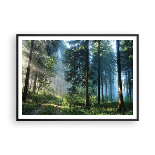 Poster in een zwarte lijst - Stralend in de ochtend - 100x70 cm