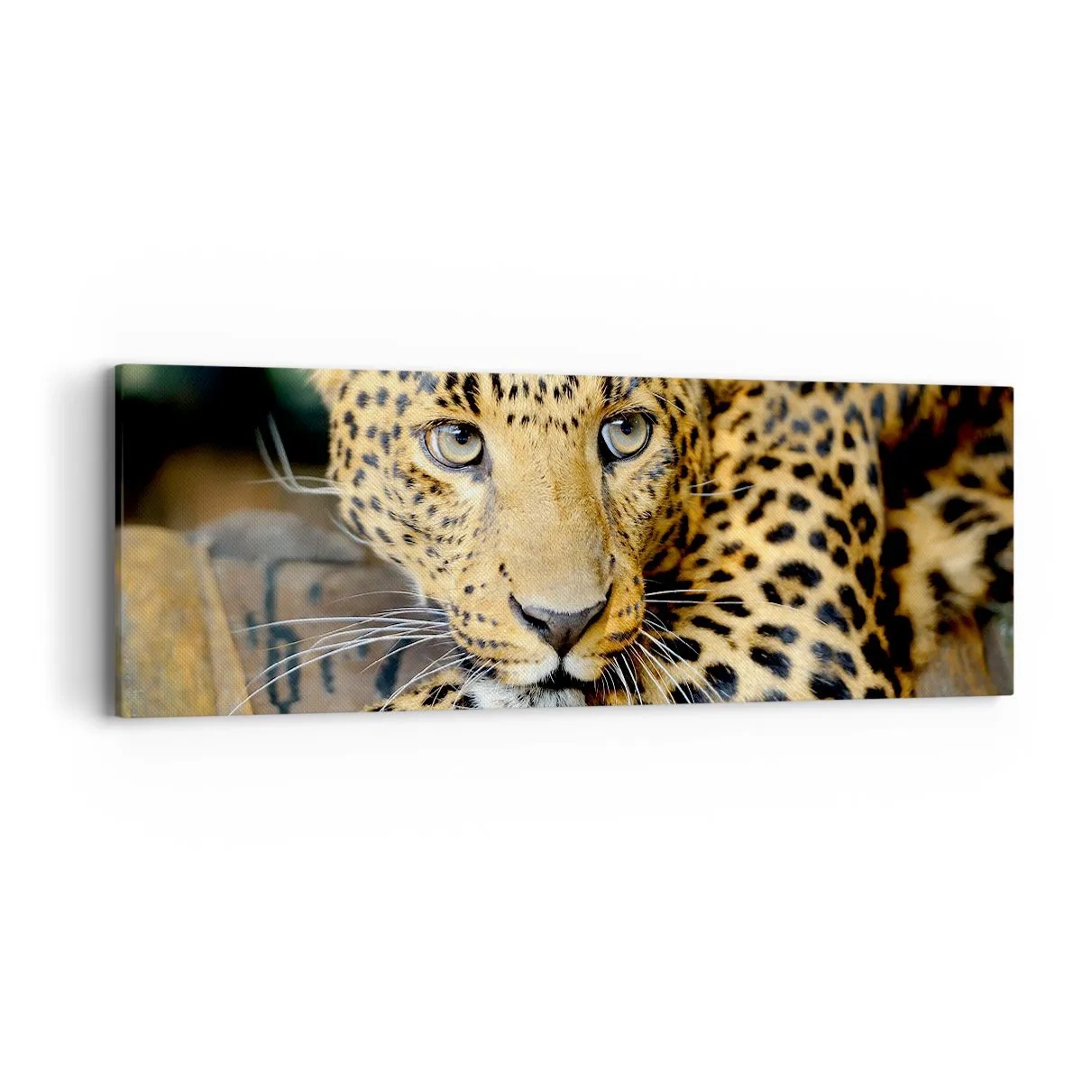 Schilderen op canvas - Wees niet bang, kom maar hier - 90x30 cm