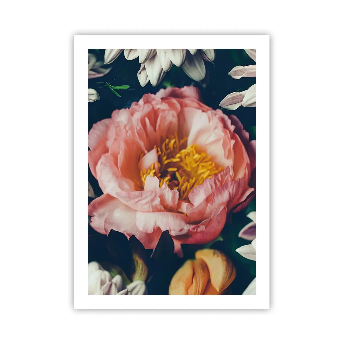 Poster - Met barokke pracht - 50x70 cm