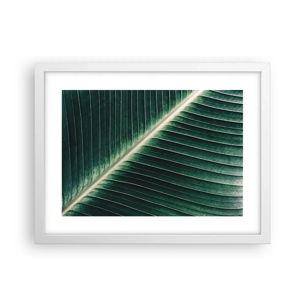 Poster in een witte lijst - Het ritme van de natuur - 40x30 cm