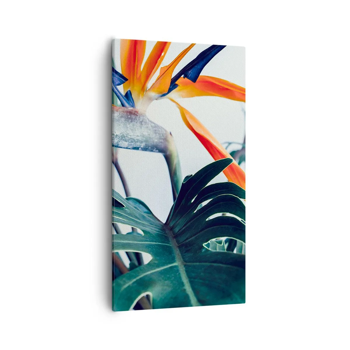Schilderen op canvas - Vogelstruik - 55x100 cm