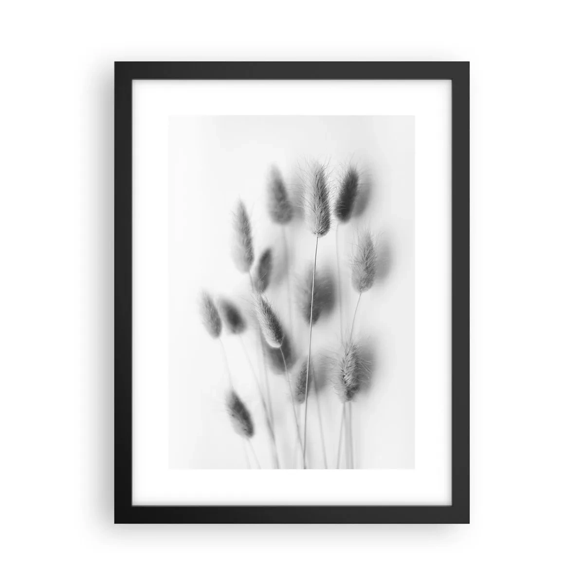 Poster in een zwarte lijst - Haar luchtigheid gras - 30x40 cm