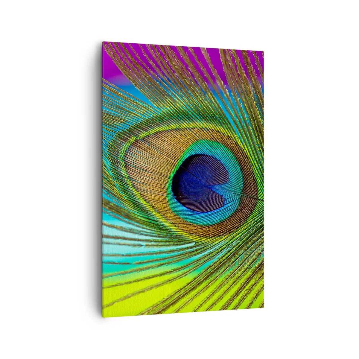 Schilderen op canvas - Oog in oog - 80x120 cm