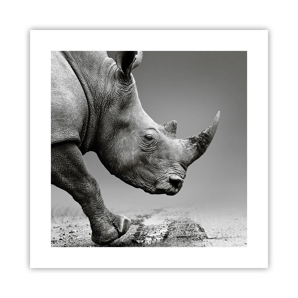 Poster - Onstuitbare kracht - 40x40 cm