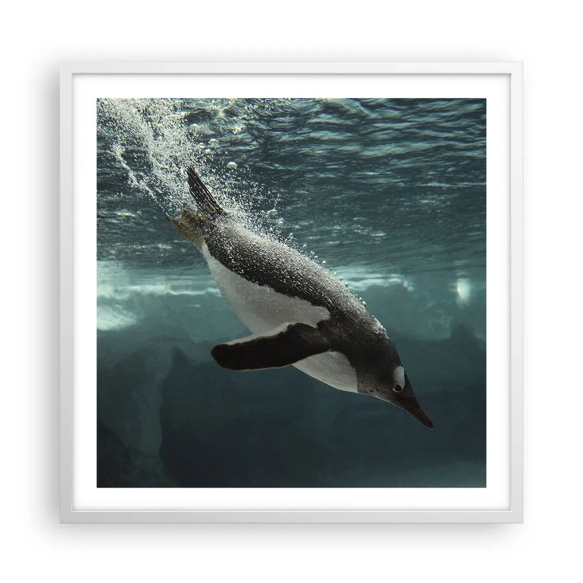 Poster in een witte lijst - Welkom in mijn wereld - 60x60 cm