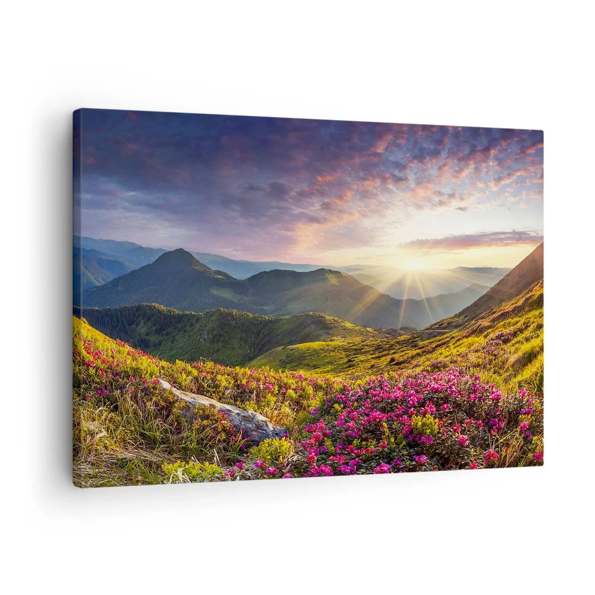 Schilderen op canvas - Berglandschap met bloeiende rododendrons - 70x50cm - Frisheid in de ochtend in de bergen - Moderne wanddecoratie voor woonkamer en slaapkamer ARTTOR