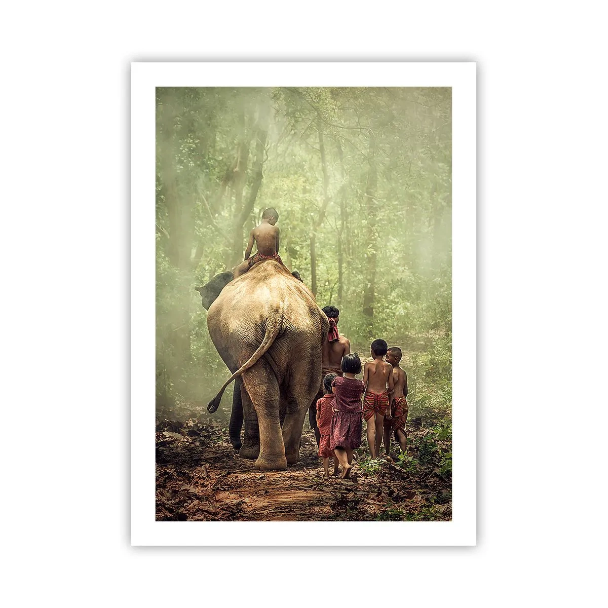 Poster - Nieuw Jungle Boek - 50x70 cm