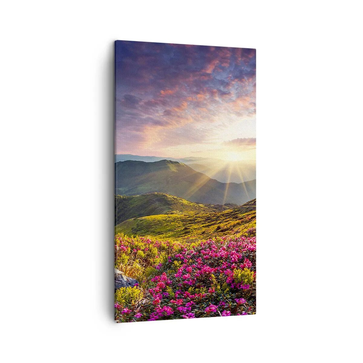Schilderen op canvas - Frisheid in de ochtend in de bergen - 45x80 cm