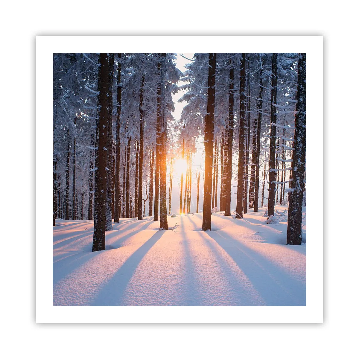 Poster - Duidelijk in zwart-wit - 60x60 cm