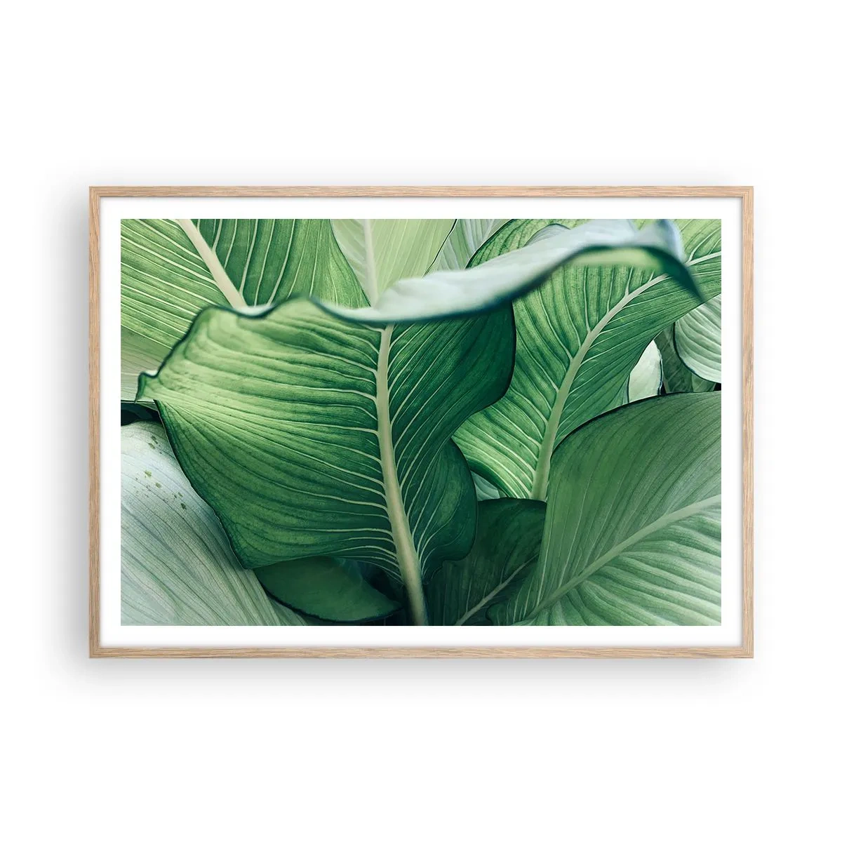 Een poster in een licht eiken lijst - Intens groen leven - 100x70 cm