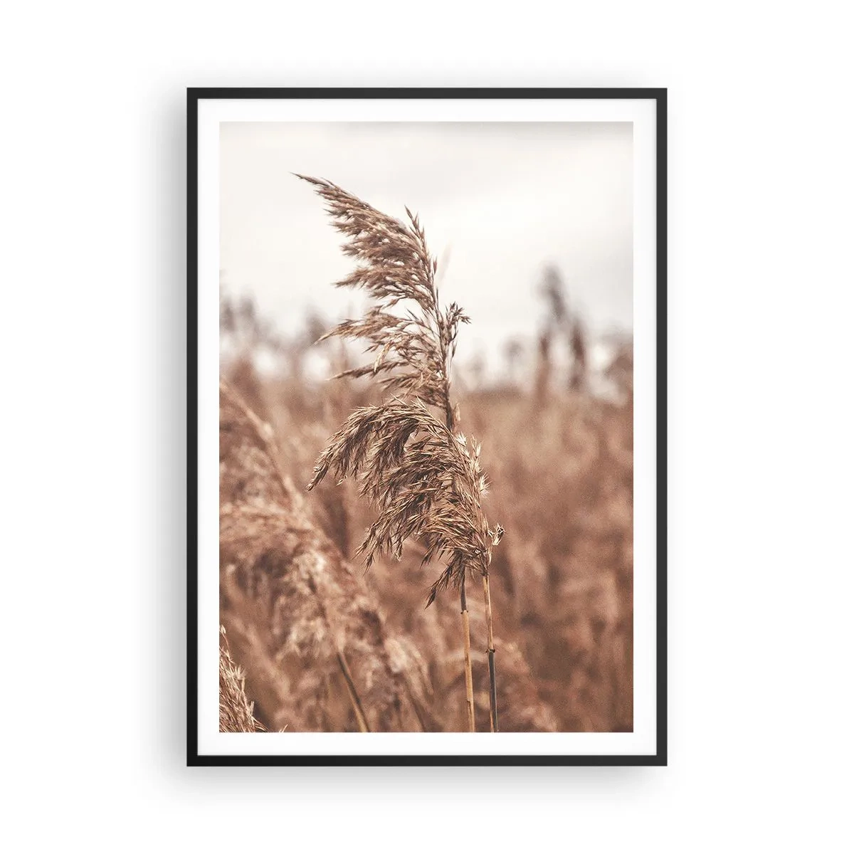 Poster in een zwarte lijst - Het is al herfst in de velden - 70x100 cm