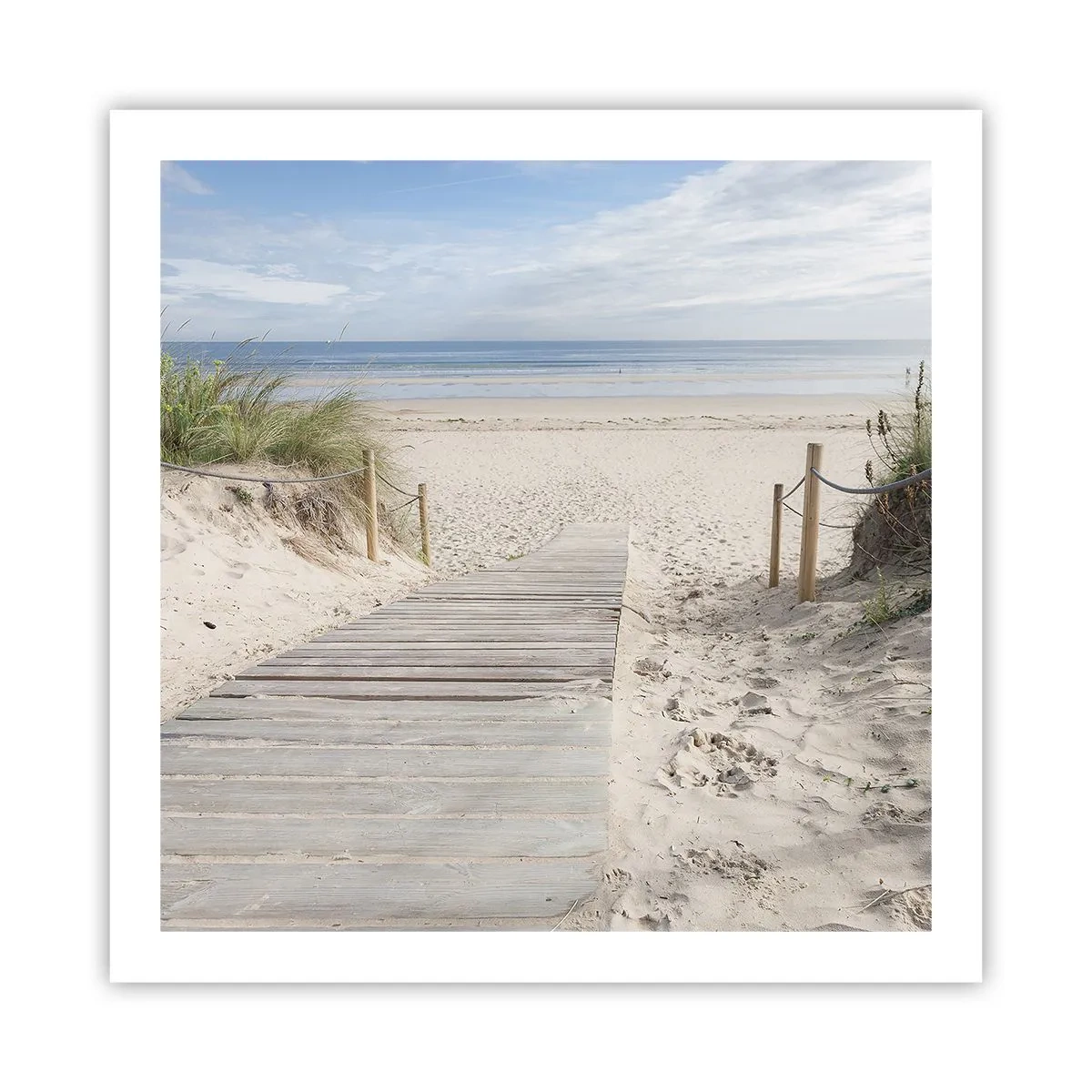 Poster - naar de horizon - 60x60 cm