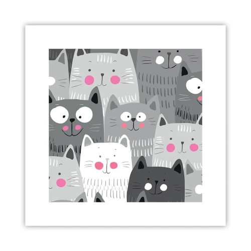 Poster - De wereld van de kat - 30x30 cm