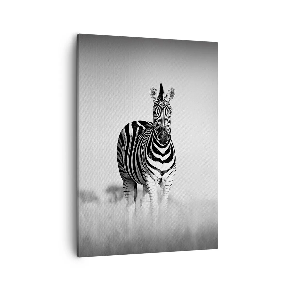Schilderen op canvas - Toch is de wereld zwart-wit - 50x70 cm