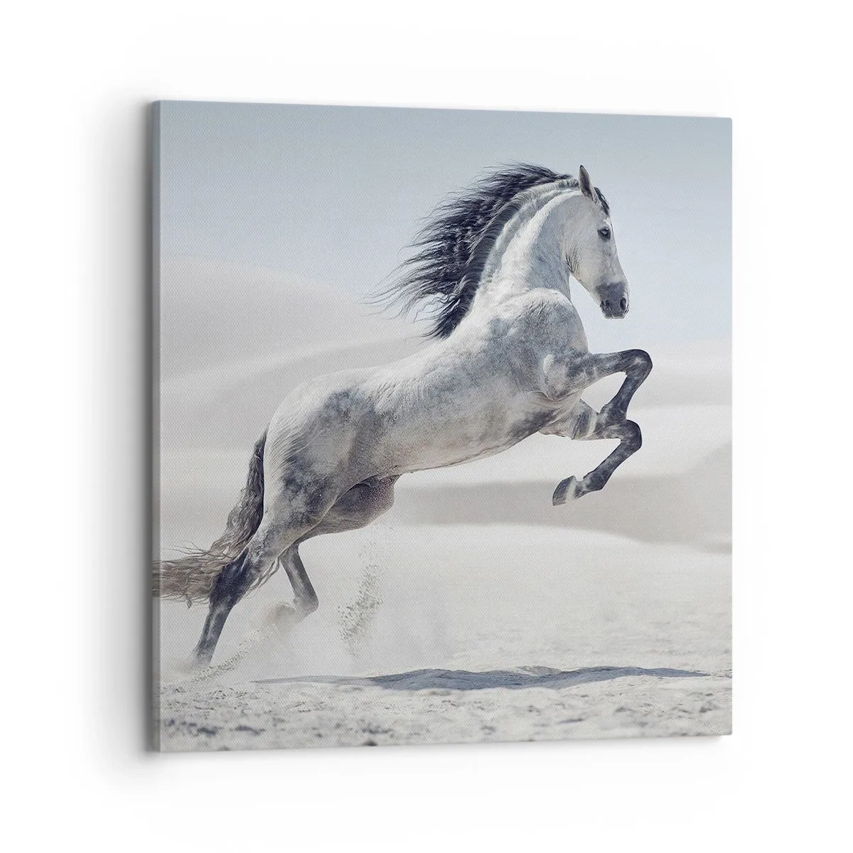 Schilderen op canvas - Arabische prins - 70x70 cm