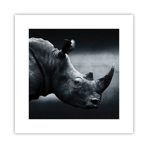 Poster - Rechts profiel - 30x30 cm