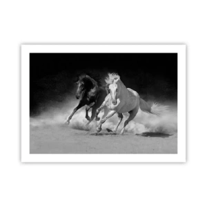 Poster - Vrijheidsgalop - 70x50 cm