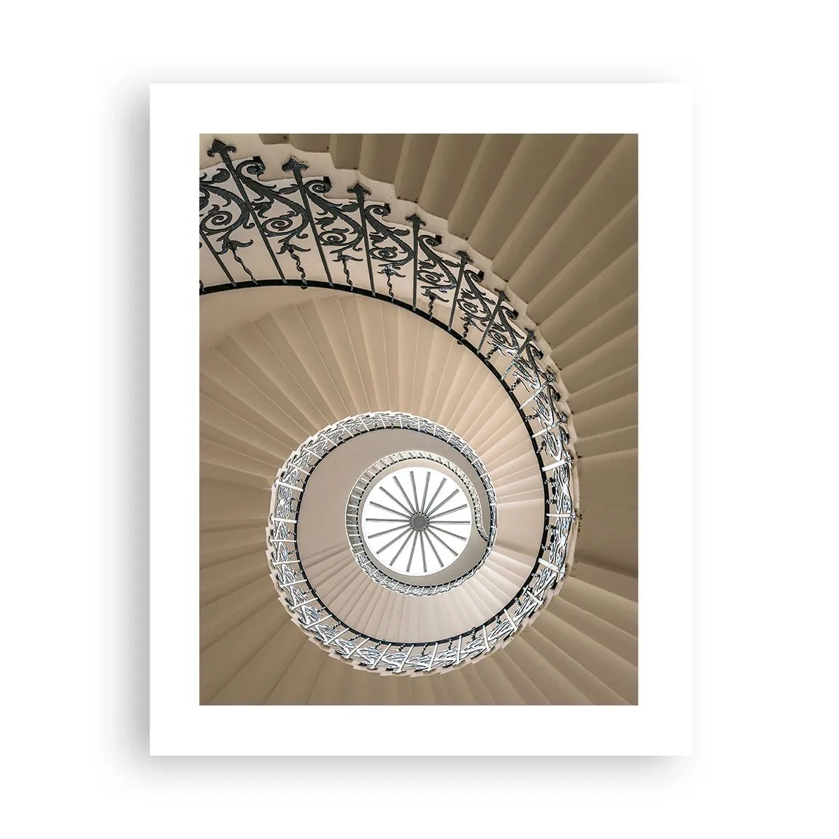 Poster - Binnenin de schaal - 40x50 cm