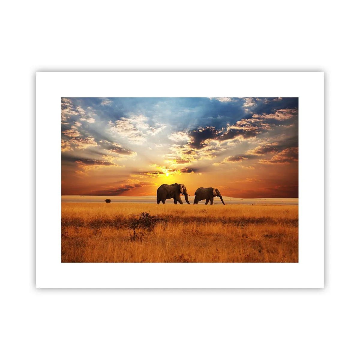 Poster - Familie wandeling - 40x30 cm