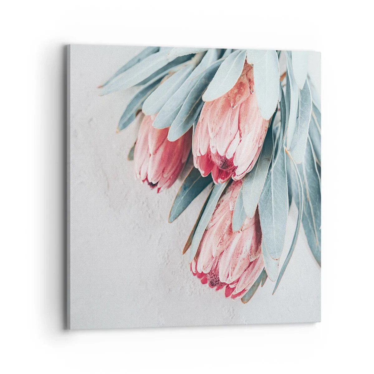 Schilderen op canvas - Schaamt zich voor hun eigen schoonheid - 70x70 cm