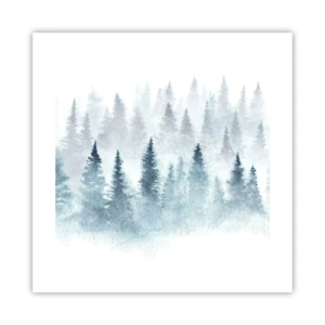Poster - Gehuld in mist - 40x40 cm