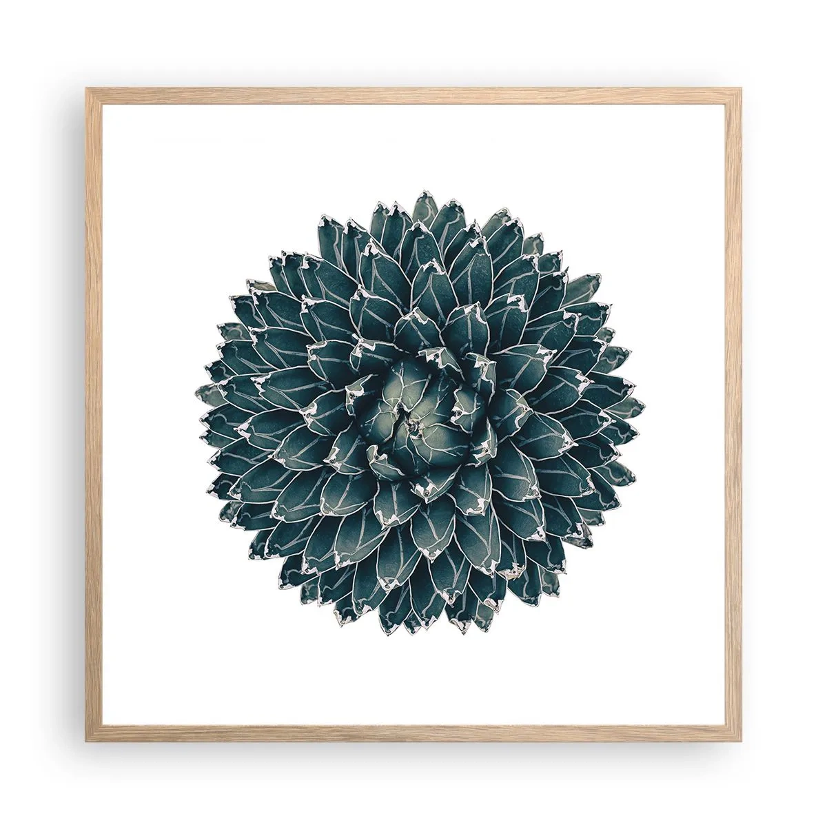 Een poster in een licht eiken lijst - De ster van de woestijn - 60x60 cm