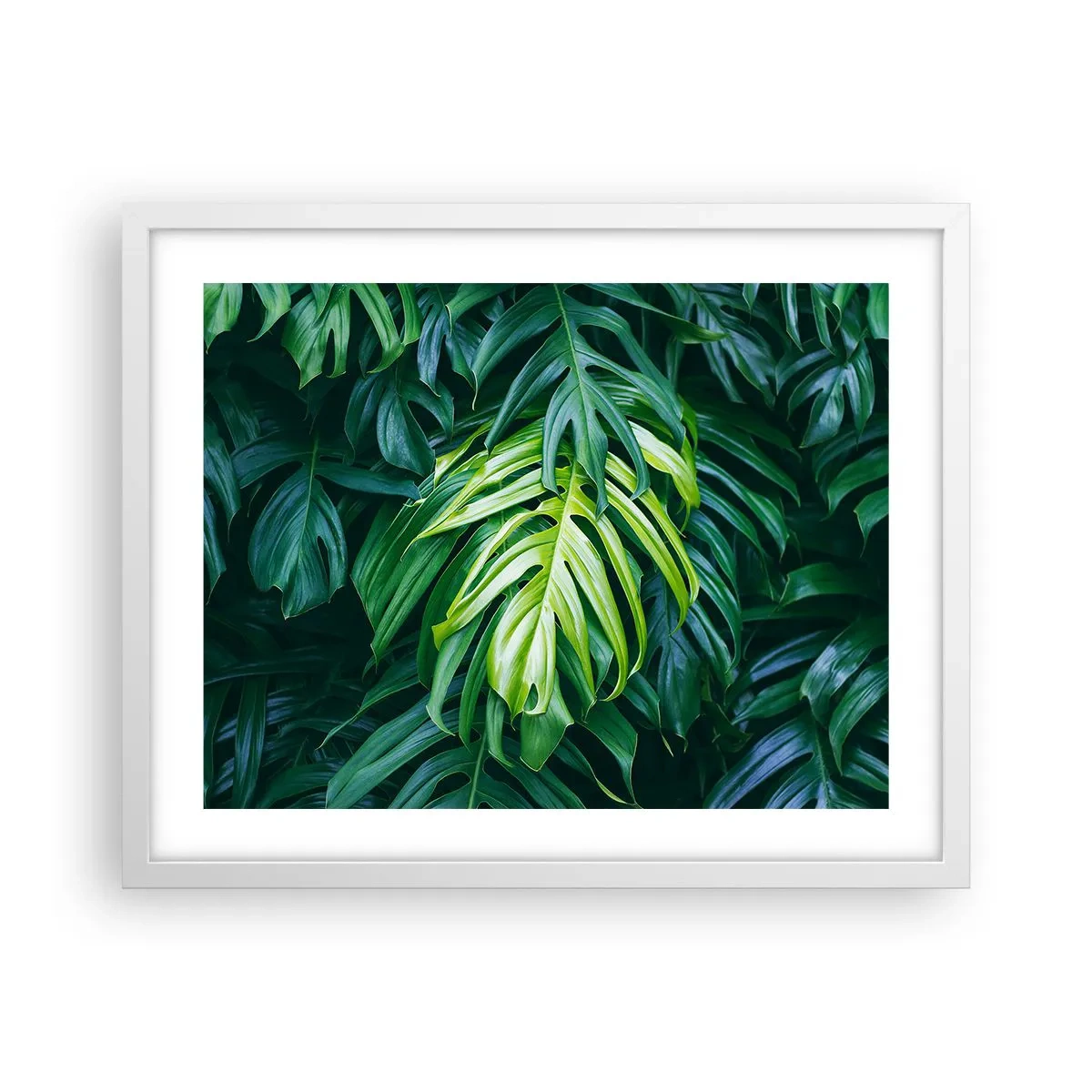 Poster in een witte lijst - Dompel jezelf onder in de frisheid - 50x40 cm