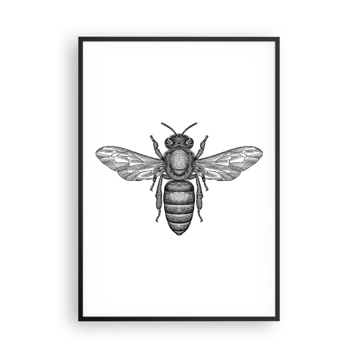 Poster in een zwarte lijst - Insectenportret - 70x100 cm