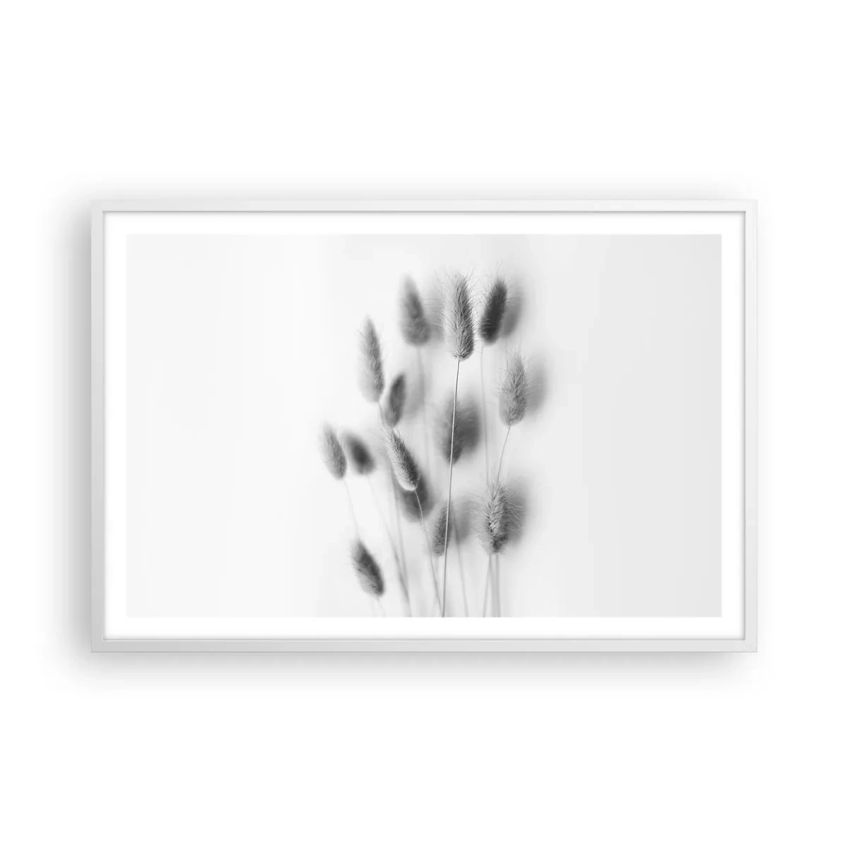 Poster in een witte lijst - Haar luchtigheid gras - 91x61 cm