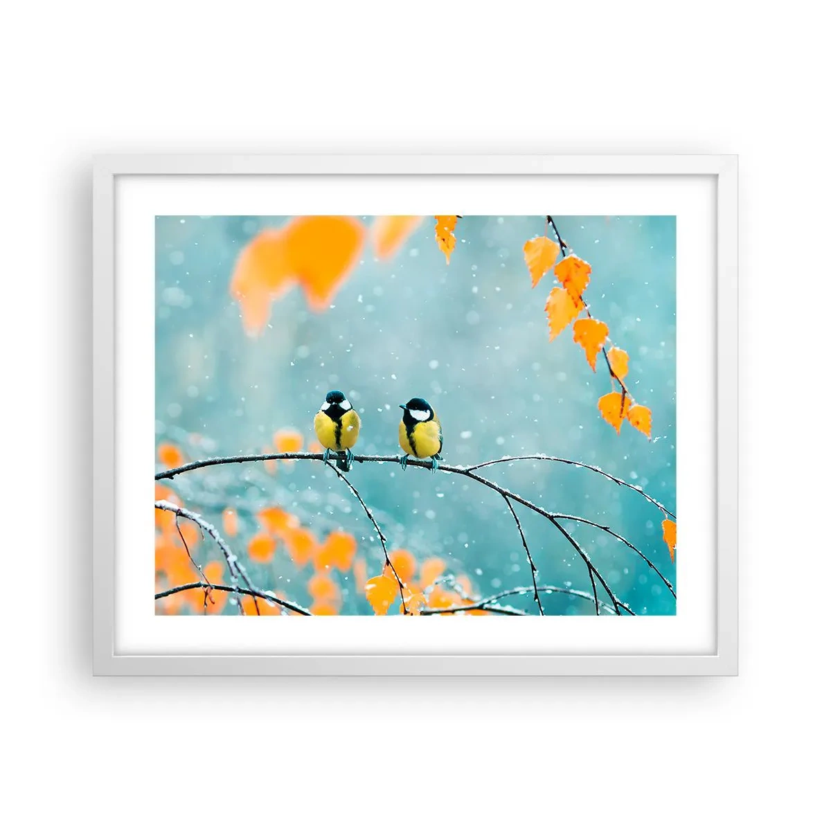 Poster in een witte lijst - Vogelroddel - 50x40 cm