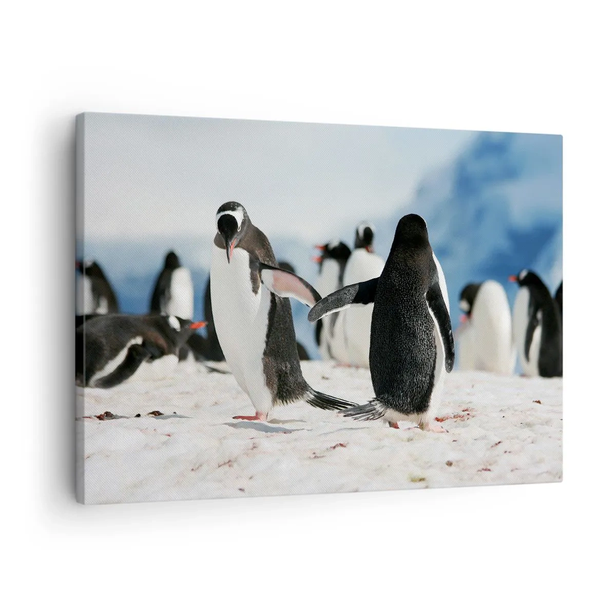 Schilderen op canvas - Een groep pinguïns in de sneeuw in een Antarctisch landschap - 70x50cm - Dansen in de sneeuw - Moderne wanddecoratie voor woonkamer en slaapkamer ARTTOR
