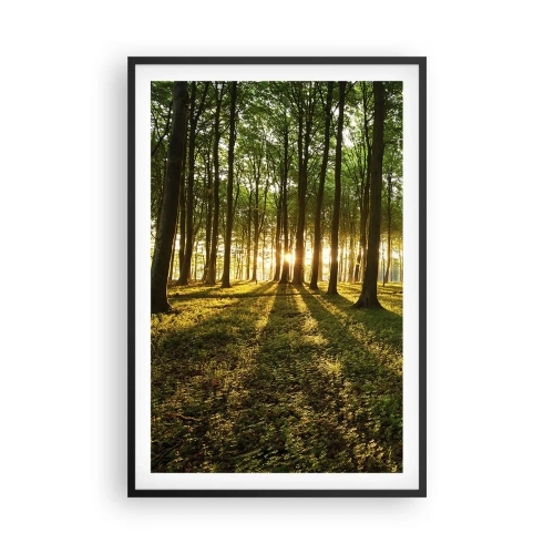 Poster in een zwarte lijst - Foto van de hele lente - 61x91 cm