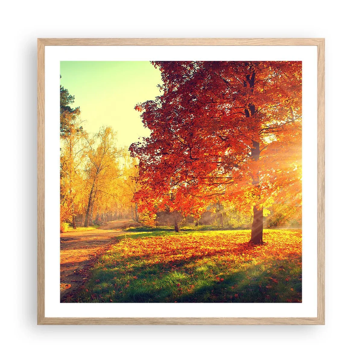 Een poster in een licht eiken lijst - Rood is mooi - 60x60 cm