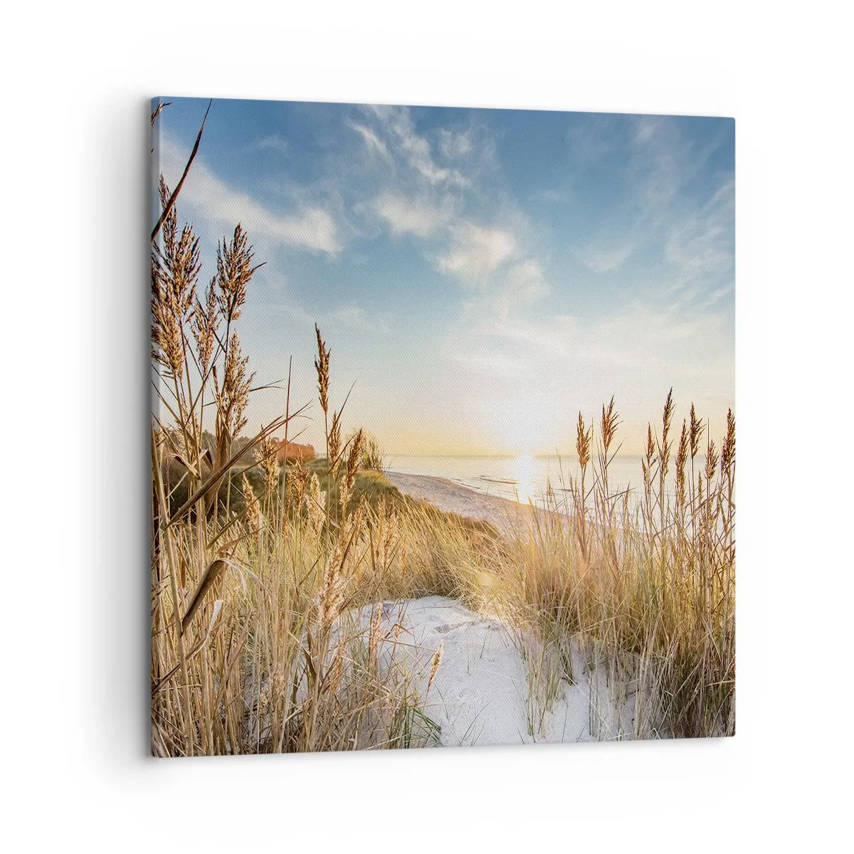 Schilderen op canvas - Noord strand - 60x60 cm