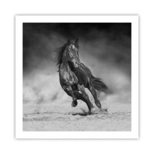 Poster - De emir zelf waardig - 60x60 cm