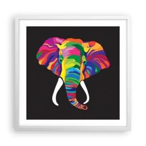 Poster in een witte lijst - De olifant die ervan hield om in de regenboog te baden - 50x50 cm