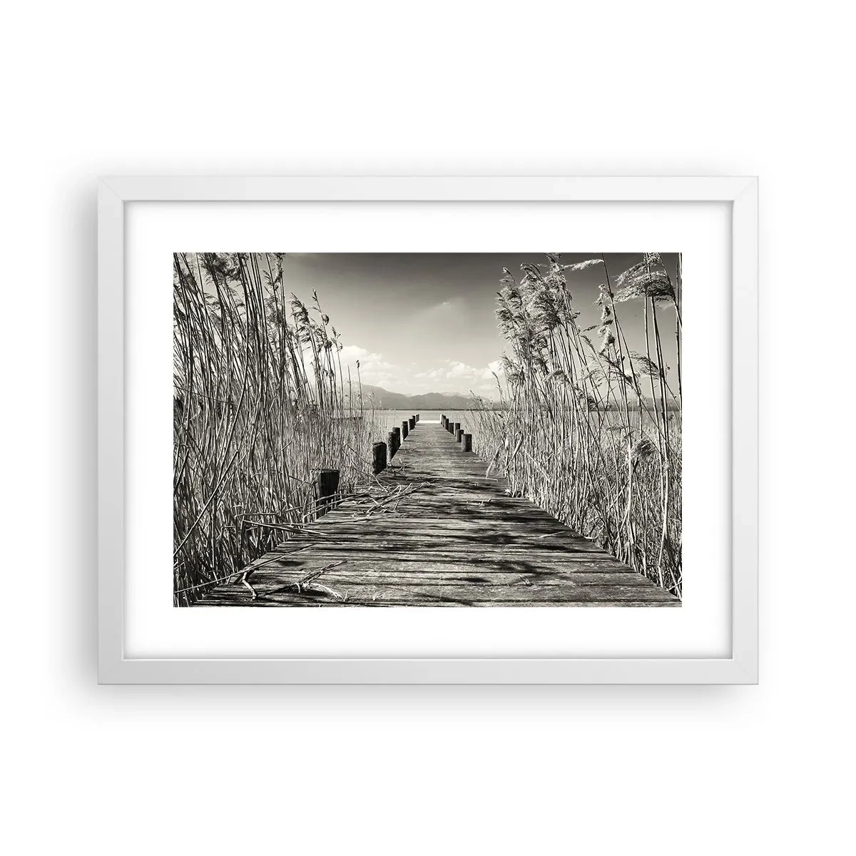Poster in een witte lijst - In de stilte van het gras - 40x30 cm