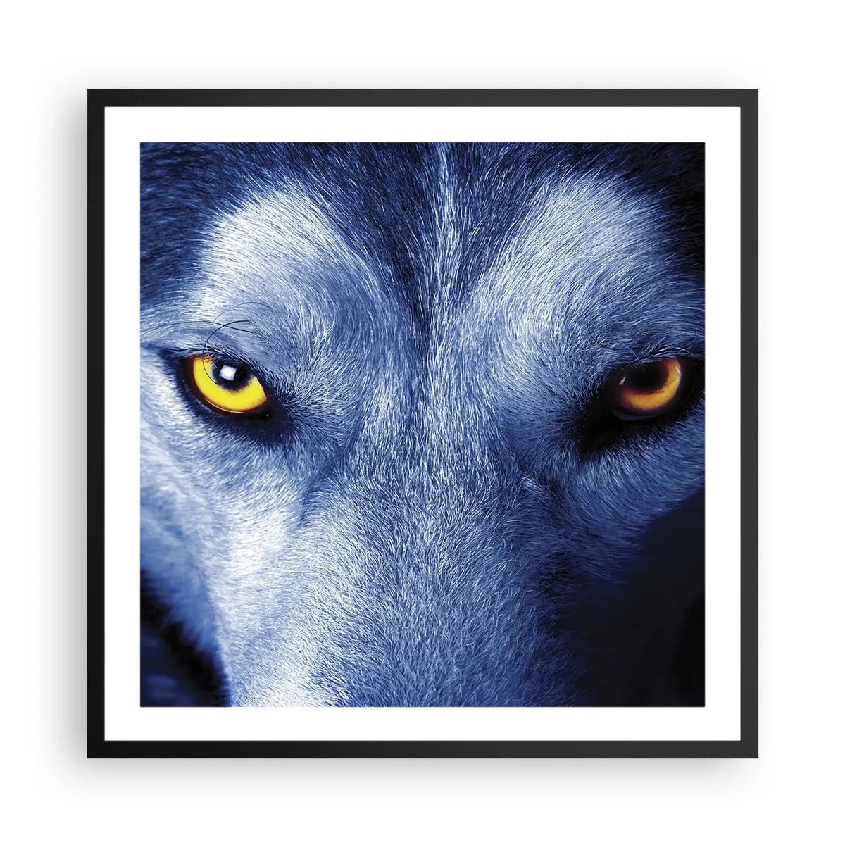 Poster in een zwarte lijst - Betoverende look - 60x60 cm