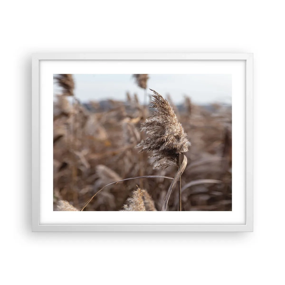 Poster in een witte lijst - Tijd om met de wind mee te gaan - 50x40 cm