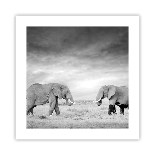 Poster - Grijs is mooi - 40x40 cm