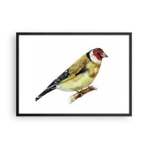 Poster in een zwarte lijst - Vogel portret - 70x50 cm