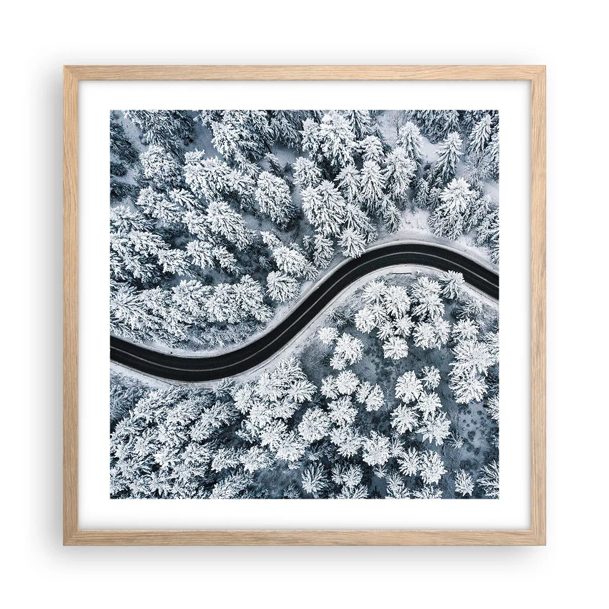 Een poster in een licht eiken lijst - Door het winterbos - 50x50 cm