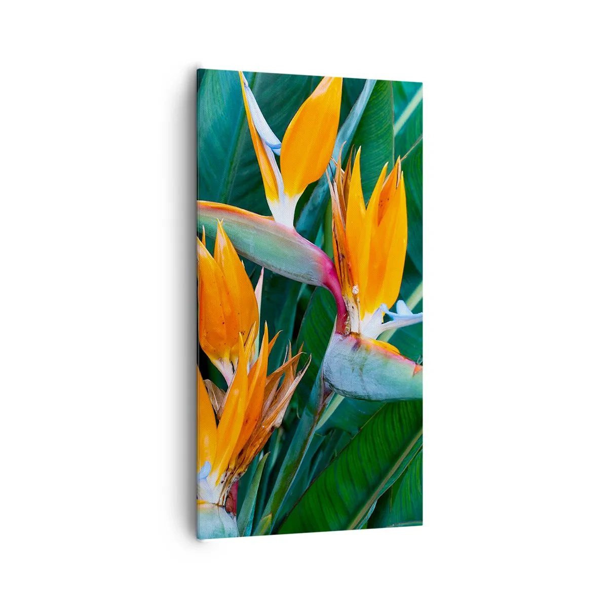 Schilderen op canvas - Is het een bloem of is het een vogel? - 65x120 cm