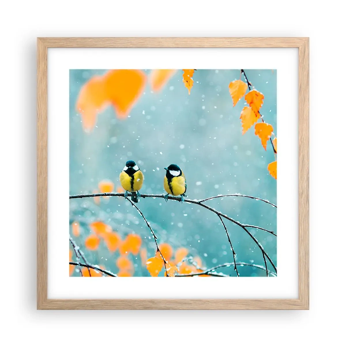 Een poster in een licht eiken lijst - Vogelroddel - 40x40 cm