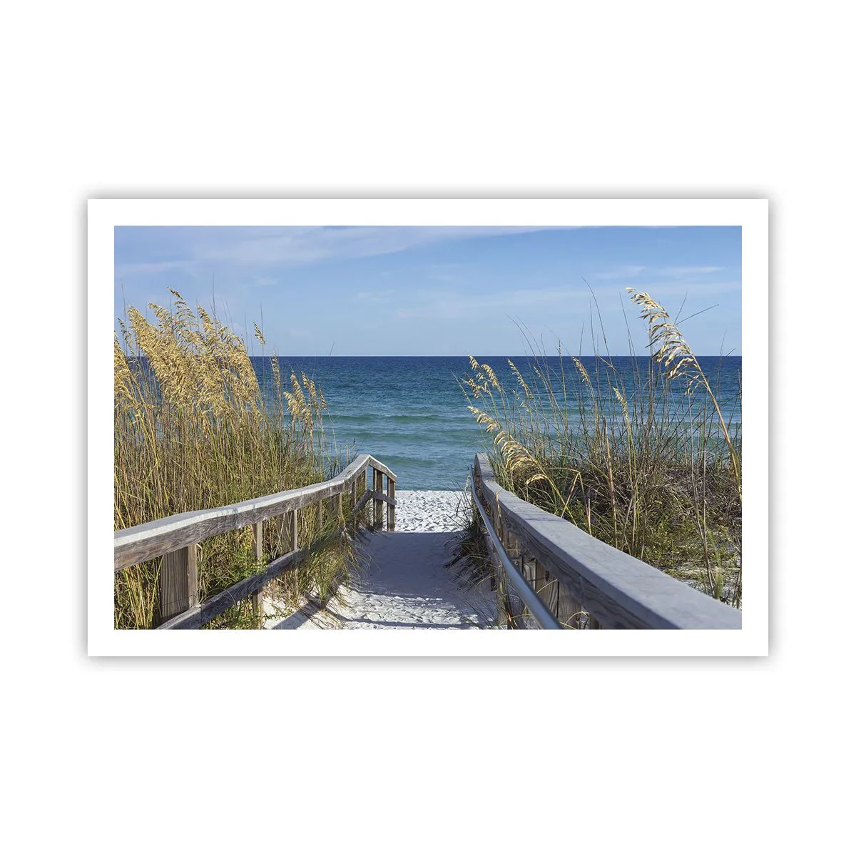 Poster - In de zon, in de wind - 91x61 cm
