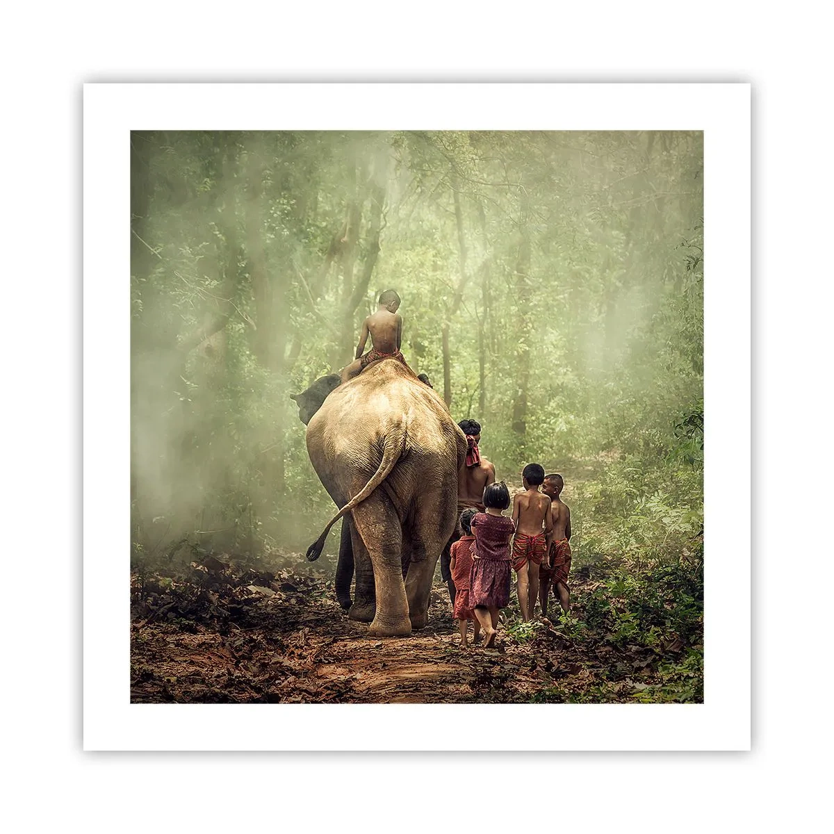 Poster - Nieuw Jungle Boek - 50x50 cm